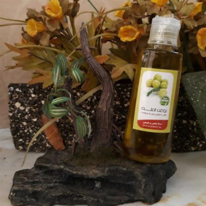 روغن آمله ارگانیک (60 گرم)